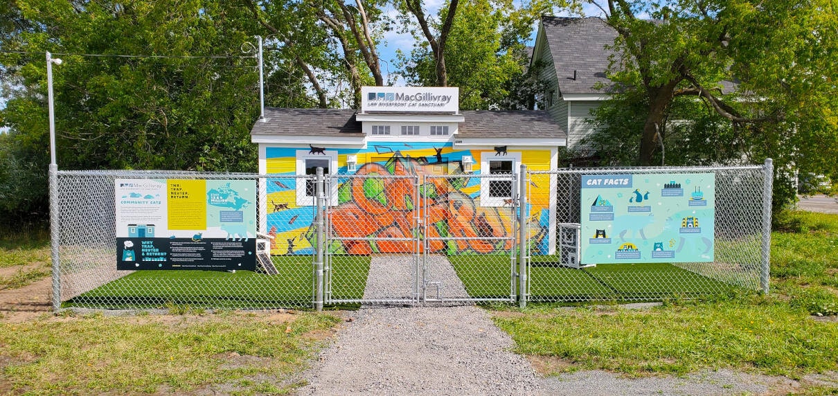 MacGillivray Law Riverfront Cat Sanctuary