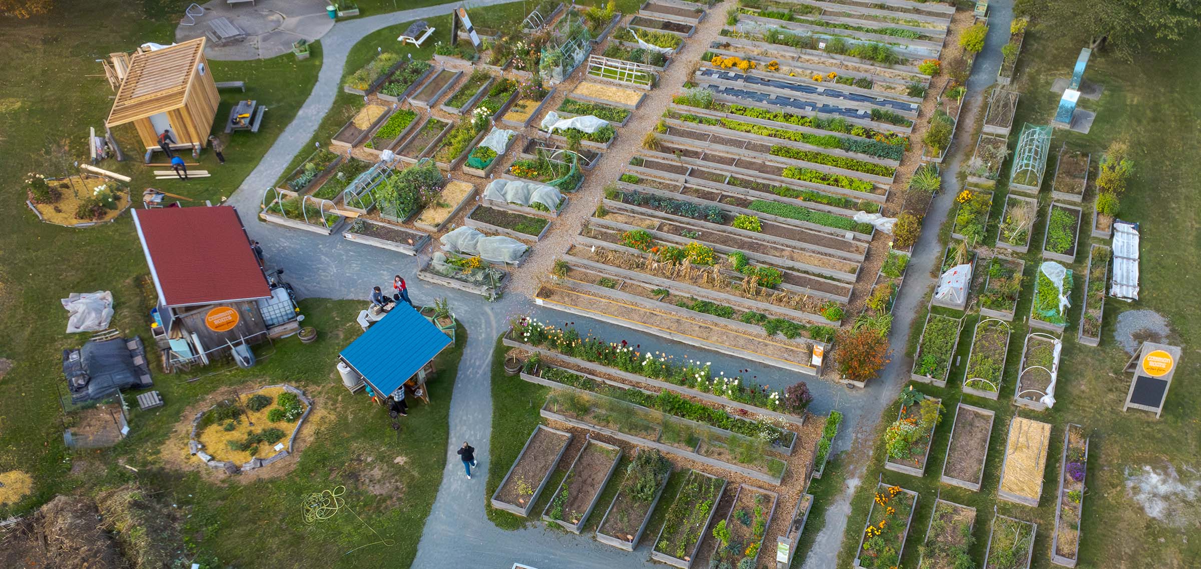 Common Roots Urban Farm